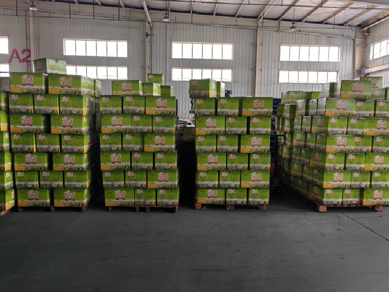 蘇州至佛坪物流公司